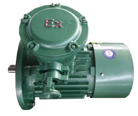 氣體防爆電機